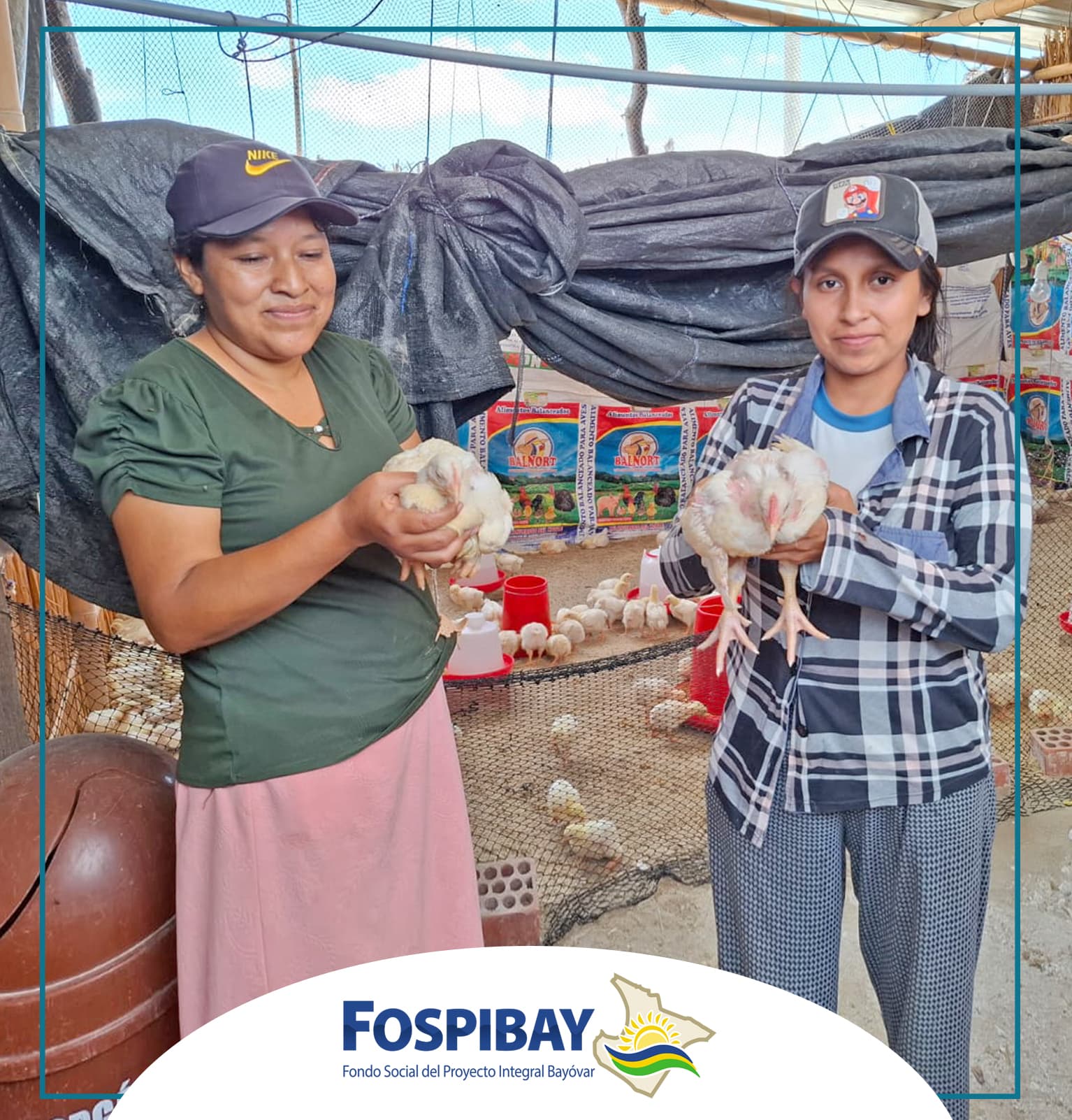 Imagen 4 de Proyecto Avícola gracias al convenio entre FOSPIBAY y ONG Choice Humanitarian