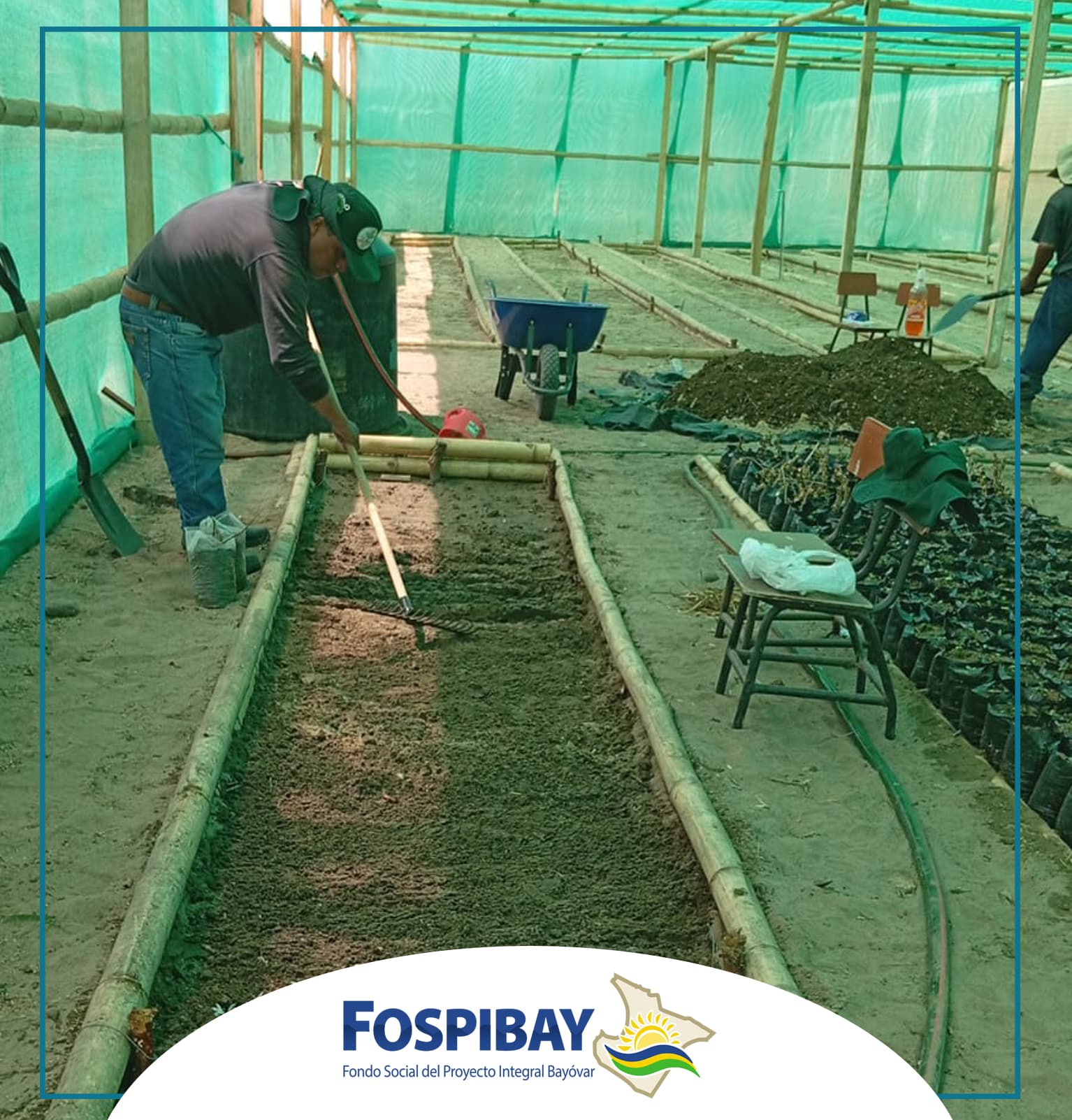 Imagen 4 de FOSPIBAY apuesta por una Sechura más verde y productiva