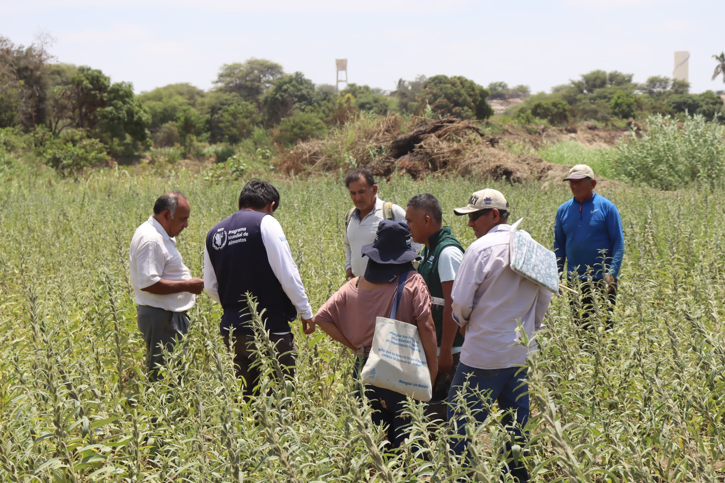 Imagen 5 de Proyecto "Compartiendo la mesa, desde las manos de Sechura"