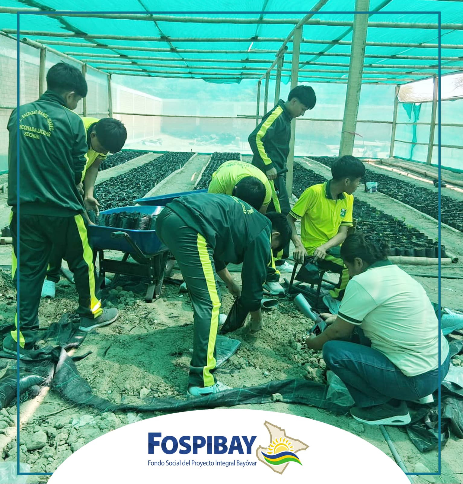 FOSPIBAY apuesta por una Sechura más verde y productiva