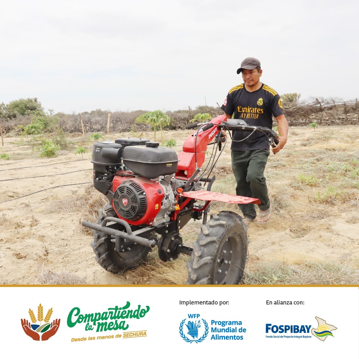 Imagen 1 de Proyecto “Compartiendo la mesa”